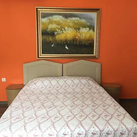 Bed & Breakfast Sakin Gumusluk